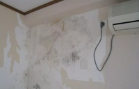 【宏绣墙布】关于墙布的保养方法