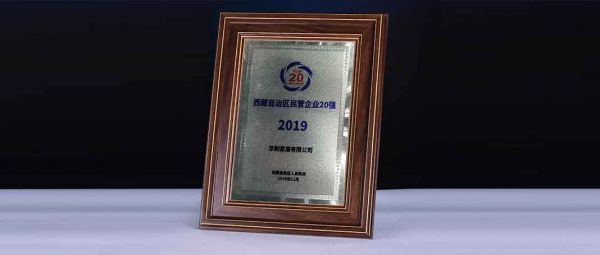 华耐家居荣登“2019西藏自治区民营企业20强”榜首