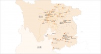 舒适猫：逆风而上的2020