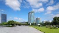 三棵树前景被广泛看好，盘中市值首次突破500亿