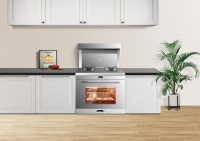 集成灶什么品牌好用