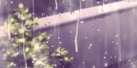 阴雨绵绵你还能忍多久?