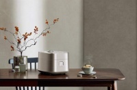 电饭煲界的颜值担当——苏泊尔电饭煲