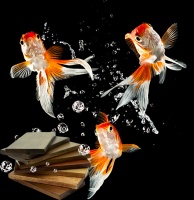 雨季板材怎么选？ 远盛福临负离子生态板用专业应对潮湿防水