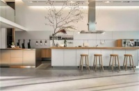 德国10大橱柜品牌排名