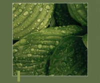 创造自然健康的卫浴环境，TONA朵纳卫浴让你彻底告别雨季烦恼