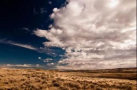 县域经销商未来还能“躺赚”吗？