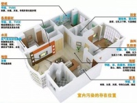 3个典型的除甲醛无效方法是常用的通病,千万不要在用了