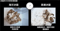 海尔感恩月：为用户幸福，主动接受挑战