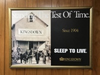 1904-2023：金斯当匠心坚守119载，续写百年睡眠传奇！