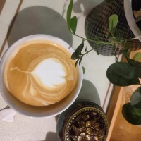 咖啡机购买攻略：苏泊尔半自动咖啡机和百胜图咖啡机哪个好？