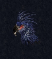 【领绣】以英豪之姿点亮生活空间