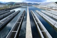 解决生活用水的4大困扰 ，1台开源中央净水机就搞定