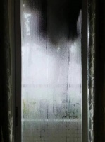 2024回南天| 持续多日潮湿，除湿机要不要买？