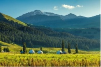 中广欧特斯热泵+解决方案，守护阿勒泰的“热”度