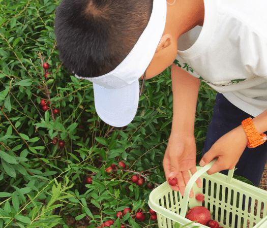 科教兴国 筑梦未来|跨越山海，富氧研学之旅圆满完成！