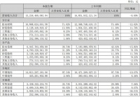 东方雨虹2024半年报：民建集团营收49.64亿元，实现逆势增长13.23%！