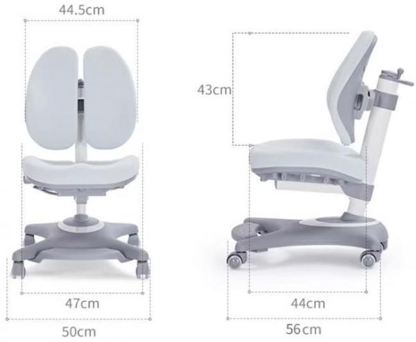 教师节：关注教师健康，光明园迪正姿椅助力守护脊柱健康