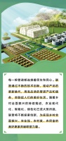 科技兴农绘“丰”景， 联塑管道赋能乡村振兴焕新颜