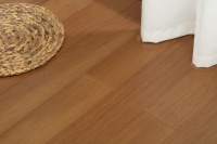 春装旺季，别错过久盛的超级新品！