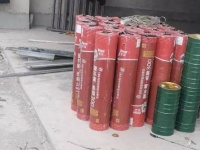 德高新品多多，样样有惊喜！