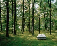 世界地球日 | 以匠心对话自然，海丝腾践行绿色生活新范式