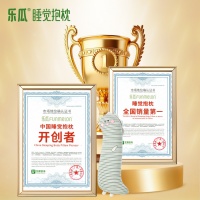 乐瓜睡觉抱枕守护国民睡姿健康，让更多人睡好觉