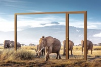 瑞明门窗 23 周年钜惠｜铝木复合窗1299 起！开启品质生活新体验