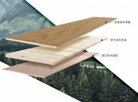 安信白蜡木地板，以自然之美重构现代家居的诗意栖居