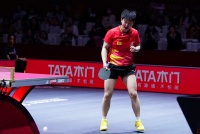 从世乒赛场到智造工厂：看TATA木门如何打出国牌“技术旋球”