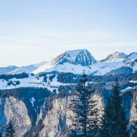 陶瓷一线品牌秦皇达陶瓷|清凉一夏，邂逅沁凉家居新境界！