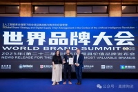 装修选砖为何首选鹰牌陶瓷？超337亿品牌价值背后的秘密大揭晓！