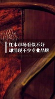 红木市场看似不好却涌现不少专业品牌|林伟华说红木