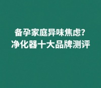 备孕家庭异味焦虑？除甲醛除烟味净化器十大品牌测评