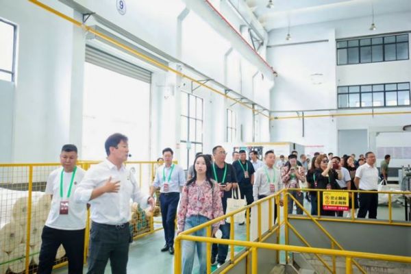 2025年绿色建筑设计与绿色建材发展交流会暨江苏再声防火芯材推介会在江苏常州举行