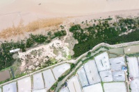 贝壳“蓝海行动”五年助力修复133.3亩红树林