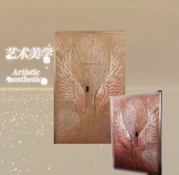 别墅大门十大品牌榜单一览：背后的实力支撑