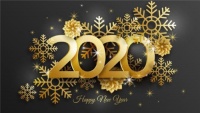 2020年是农历什么年 今年是双春年吗