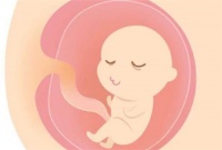 几个月可以看出胎儿是否畸形 胎宝宝会发脾气吗