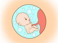 怎么控制胎儿体重 孕期如何预防腿抽筋