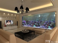 家居养鱼风水要注意哪些？这些禁忌要远离！