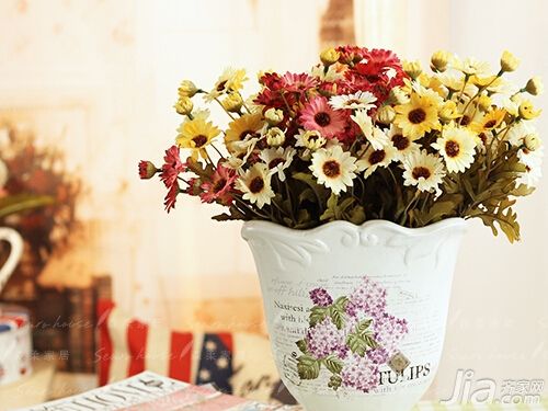 森柔美式小雏菊