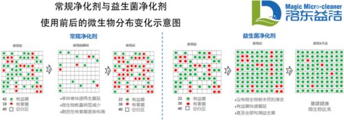 洛东益洁产品