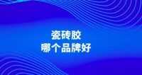 随着现代家居装修市场的快速发展，瓷砖作为地面和墙面装饰的重要材料，其铺贴工艺和材料的选择成为了消费者关注的焦点。瓷砖胶凭借其粘结力强、施工便捷等优点，逐渐成为了市场的宠儿。但是瓷砖胶品牌众多，瓷砖胶什么品牌好也成为不少消费者关心的问题。在这个竞争激烈的市场中，东方雨虹防霉无尘大砖瓷砖胶凭借其卓越的性能和环保理念，成功脱颖而出，成为家居装修领域的领导者。