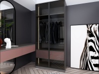 【速递】领尚巴西可可系列衣柜：设计与实用并存，让你的家更有格调！