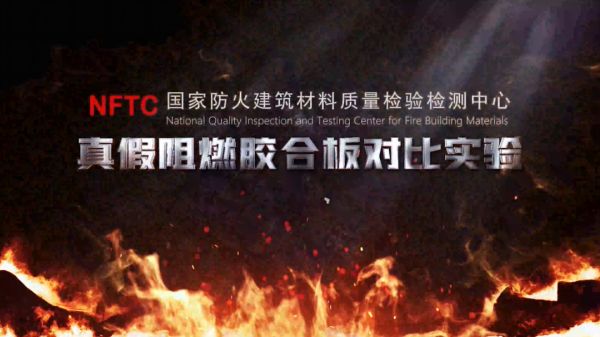 假冒阻燃板实验