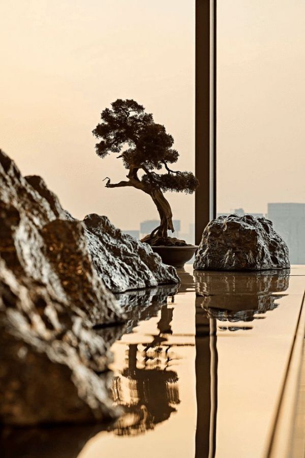 我心归处即安云 