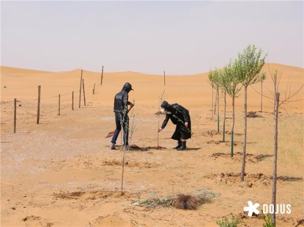 DOJUS Resort-style Tengger Desert Public Welfare Photography