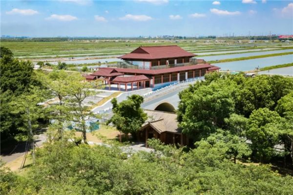 大宸设计南沙湿地廊桥寻梦项目