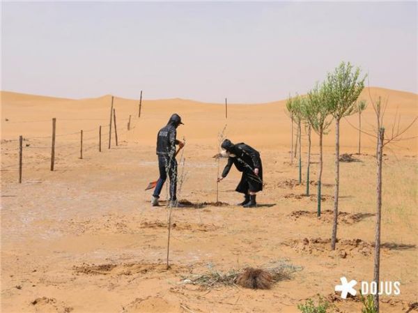 DOJUS 度假式家私:重构家居消费场景,定义「日常,就度假」的美学革命